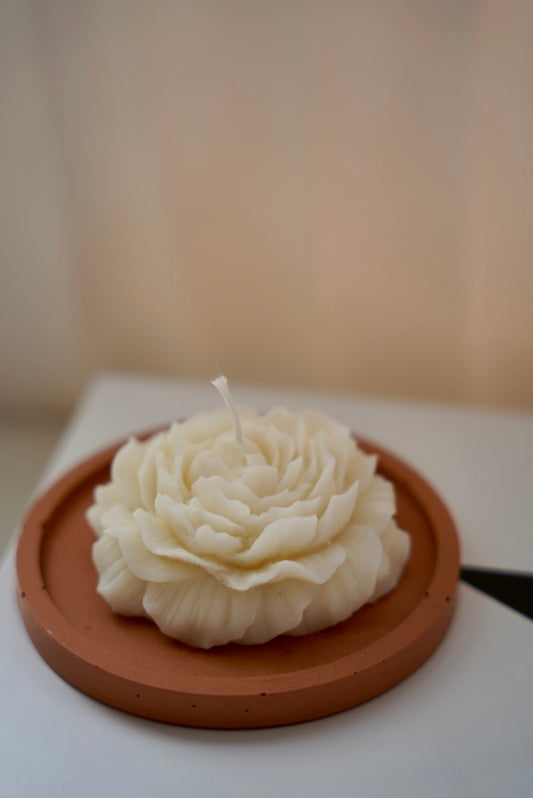 Bougie Nymphaéa - Cire d’olive