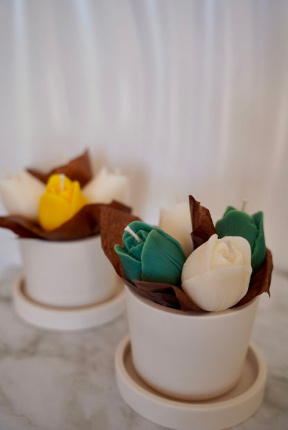 Bougies Mon bouquet de Tulipes - Cire d'Olive