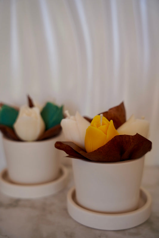 Bougies Mon bouquet de Tulipes - Cire d'Olive