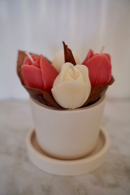 Bougies Mon bouquet de Tulipes - Cire d'Olive